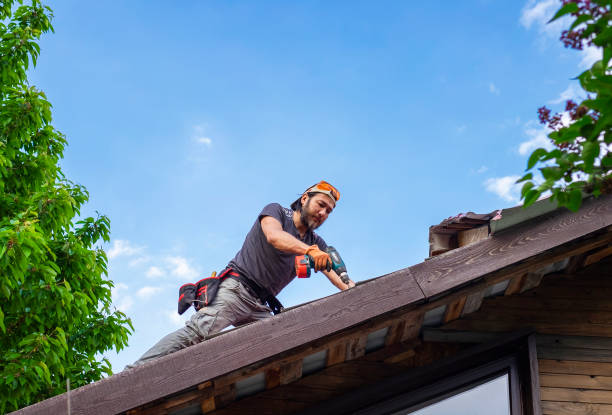 Siding Services in Keokea, HI